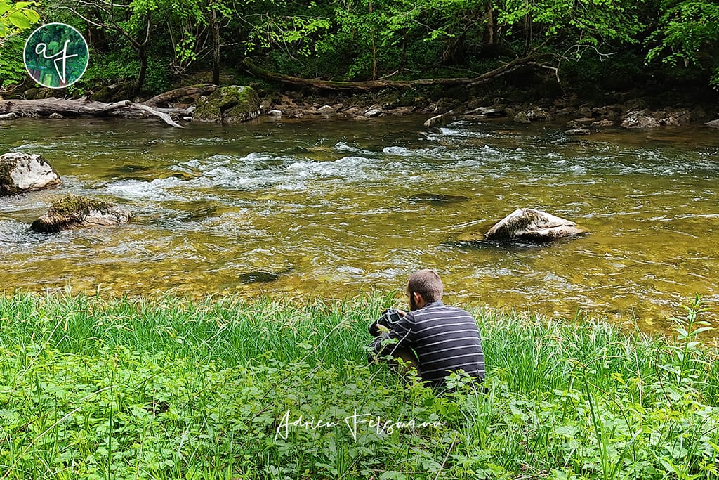 Balade naturaliste en bord de rivière