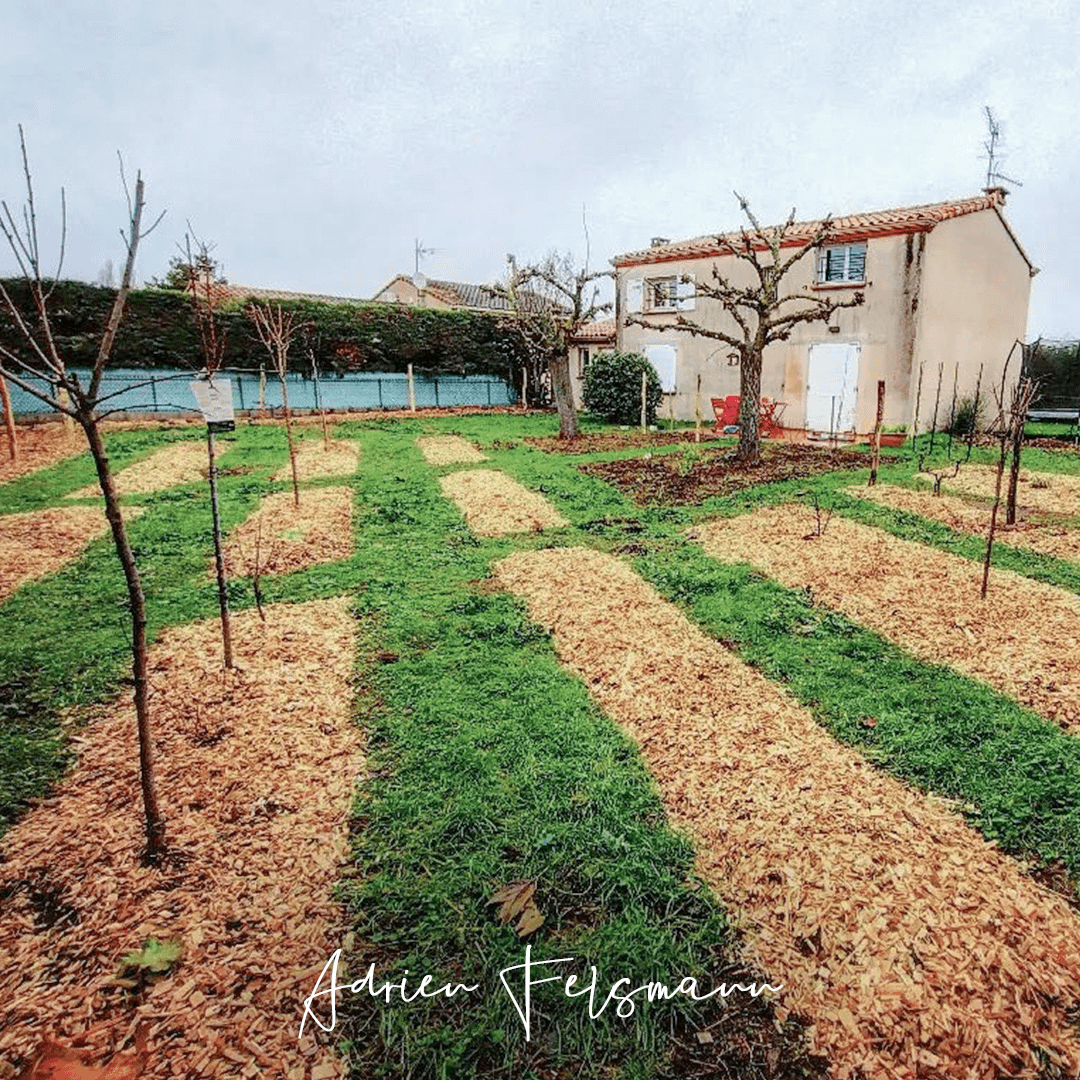 Jardin conçu selon les principes de la permaculture et de l'agroforesterie à Toulouse