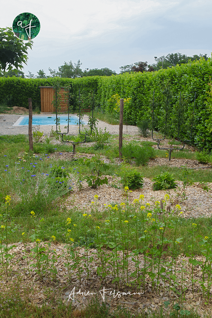 Jardin nourricier avec piscine et verger