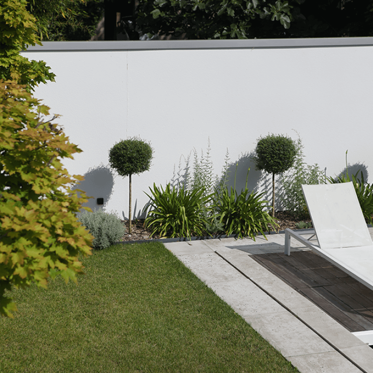 Topiaire et agapanthe dans un jardin minimaliste