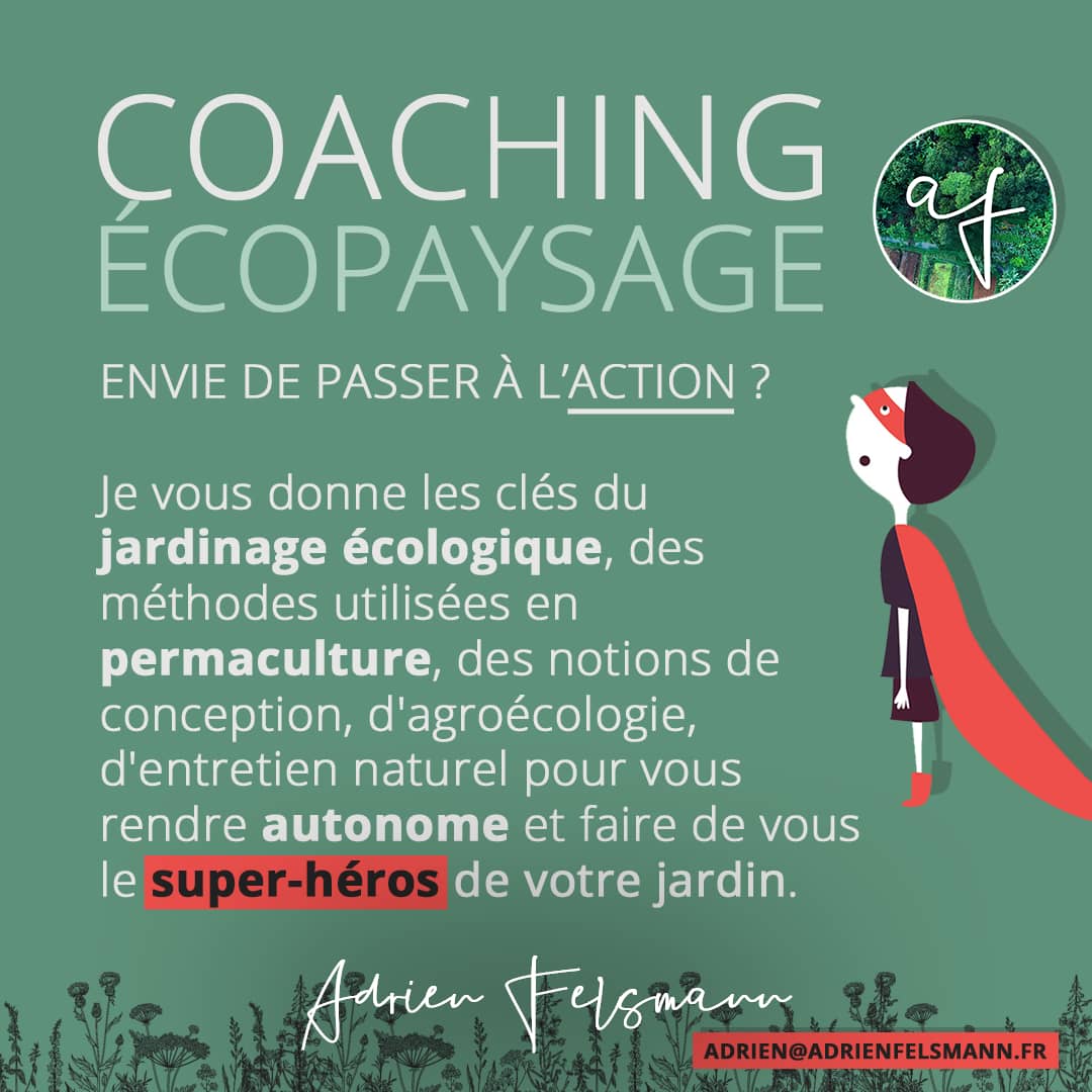 Coaching écopaysage écologique