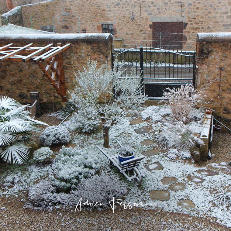 Jardin méditerranéen en hiver