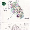 Plan de plantation réalisé lors d'un coaching conception de jardin