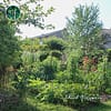 Jardin forêt et guildes de permaculture