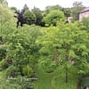 Conception de jardin-forêt nourricier inspiré de la permaculture