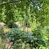 Des arbres fruitiers dans un potager écologique