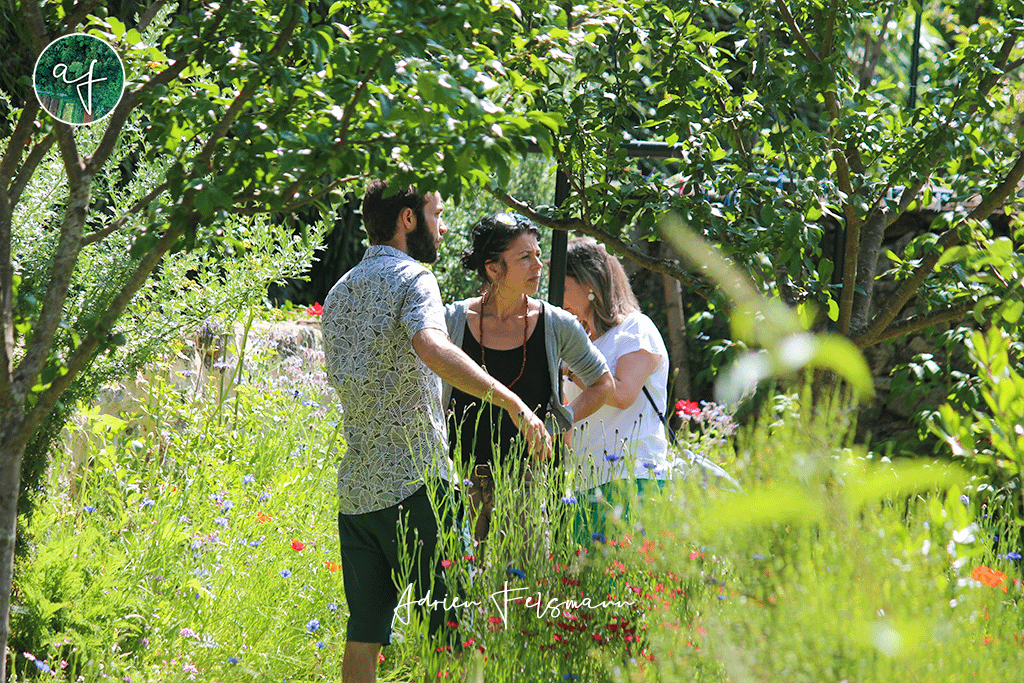 Coaching jardin naturel