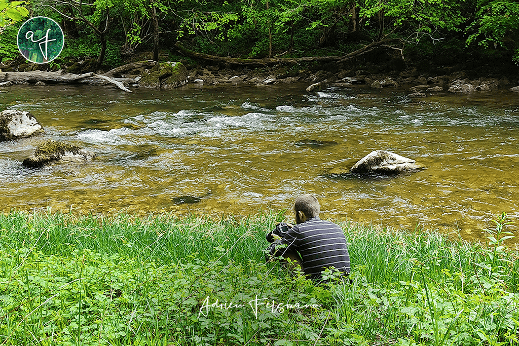 Balade naturaliste en bord de rivière avec un paysagiste toulousain