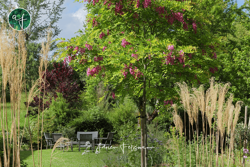 Coin senteur aux Chambres du Presbytère