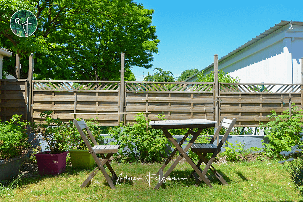 Espace engazonné dans un jardin de ville