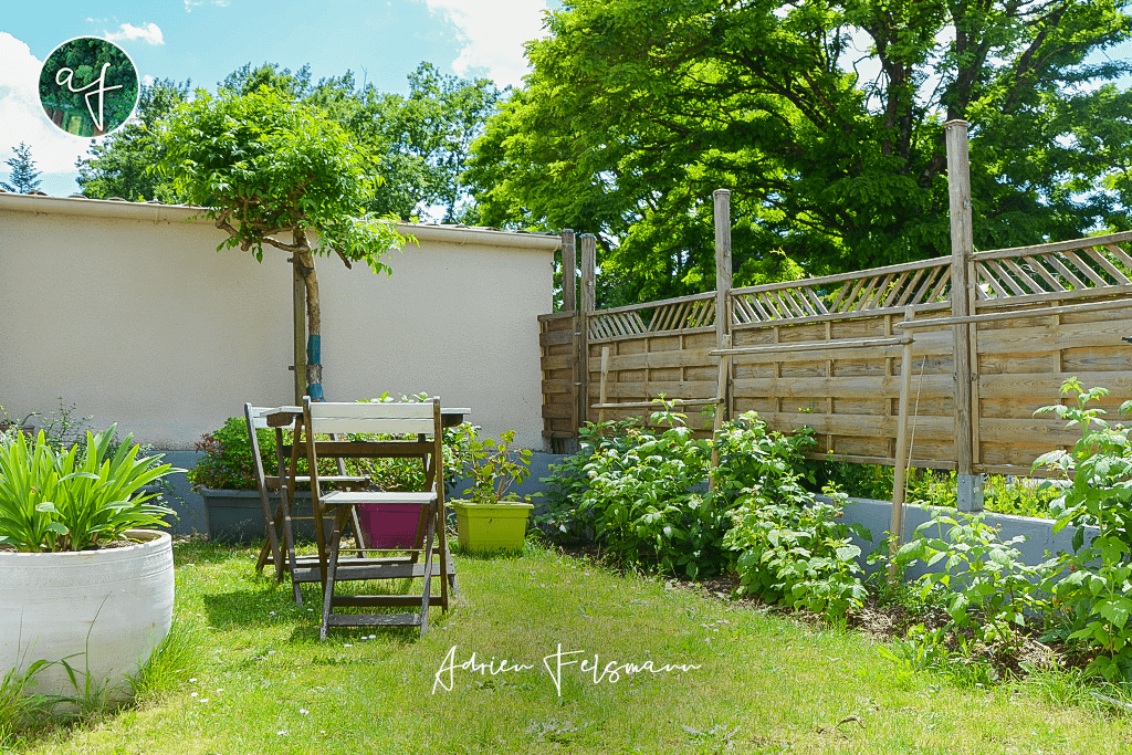 Espace nourricier dans un jardin de ville