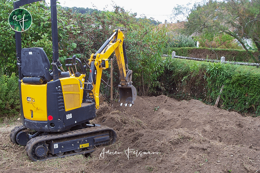 Haie fruitière avant travaux