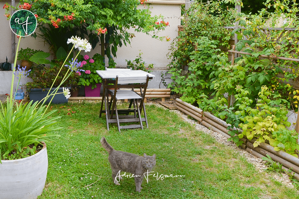 Jardin de ville fleuri