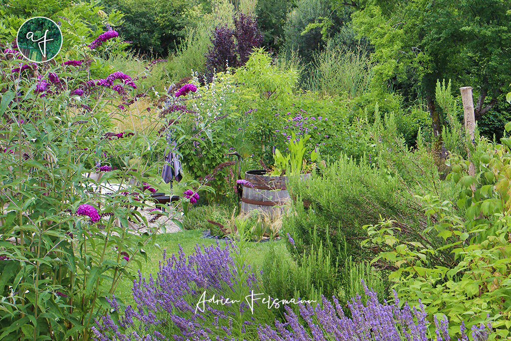 Architecture paysagère du Jardin des Chambres du Presbytère