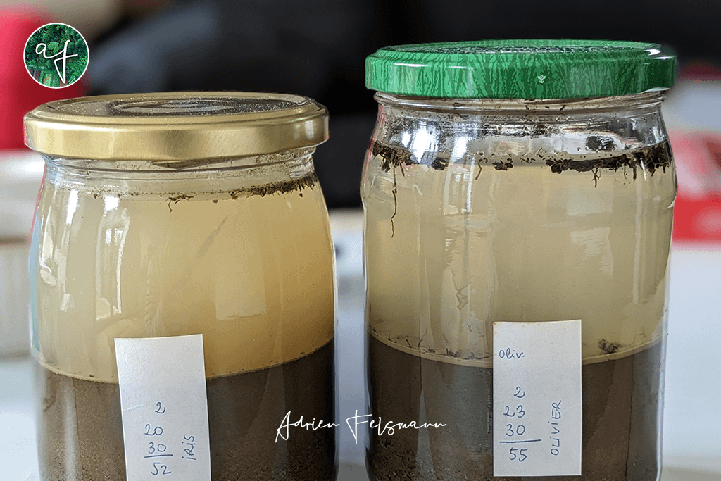 Analyse du sol en accompagnement à la conception de jardin