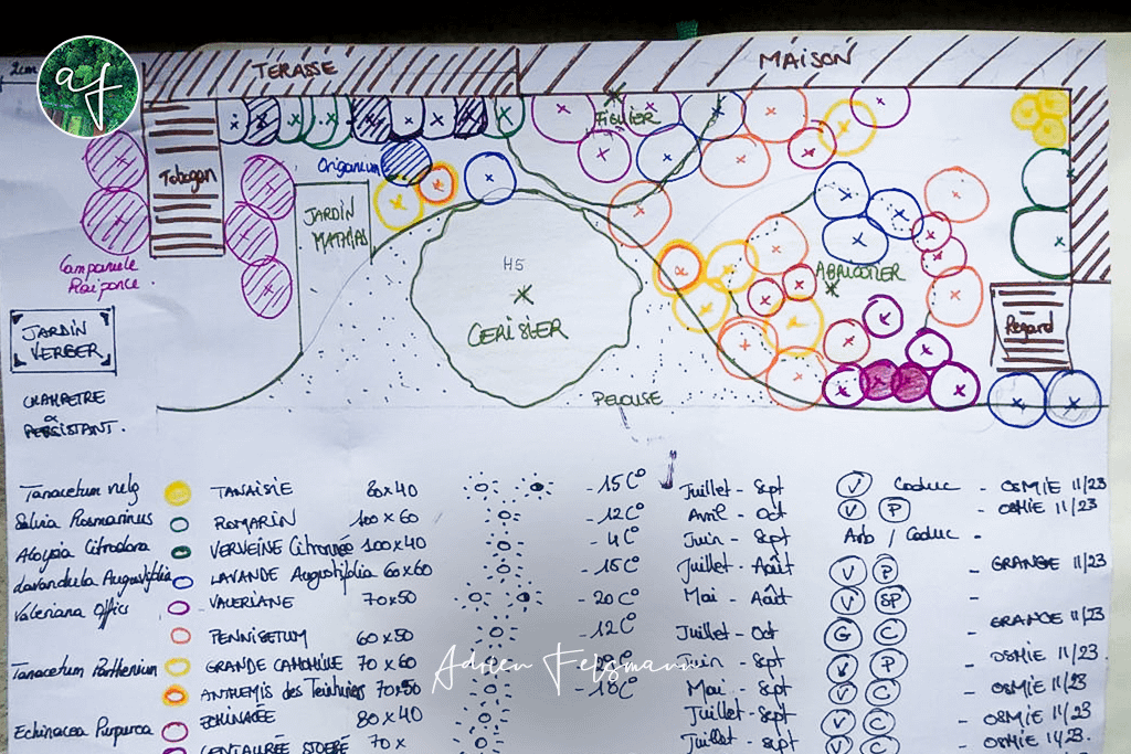 Plan de plantations en accompagnement à la conception de jardin