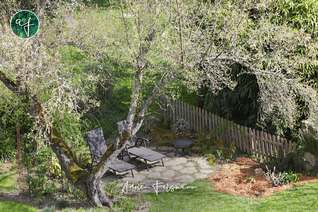 Cocon romantique à l'ombre du prunier