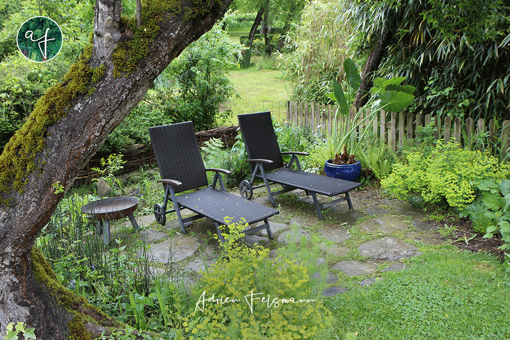 Jardin romantique sous les arbres