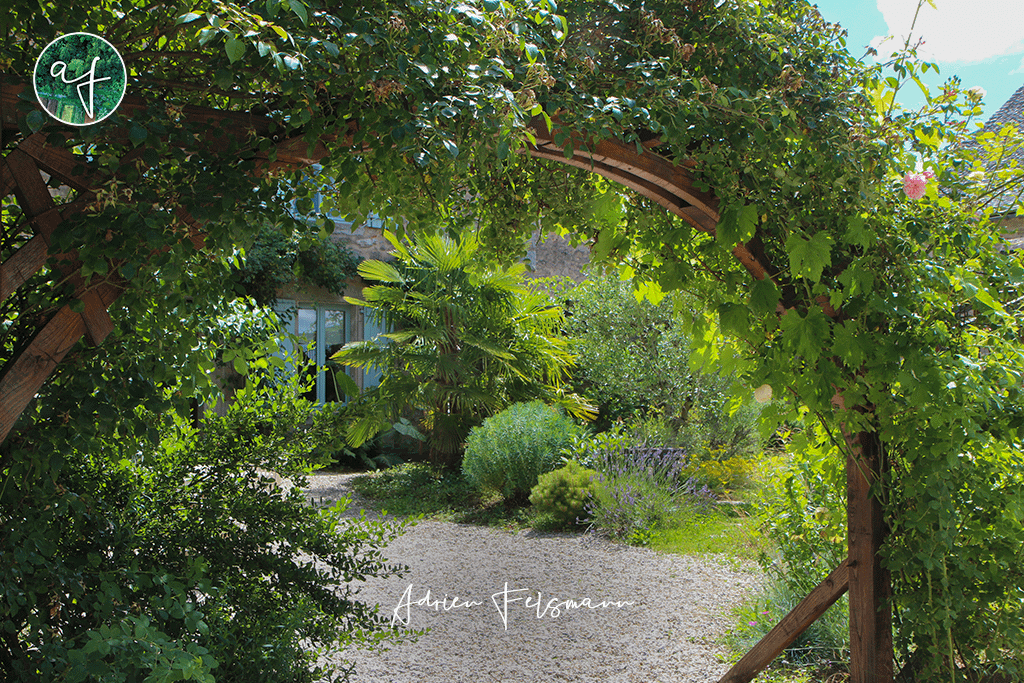 Perspective sous l'arche avec le rosier grimpant