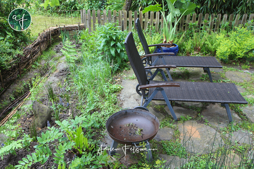 Végétaux de terrain humide