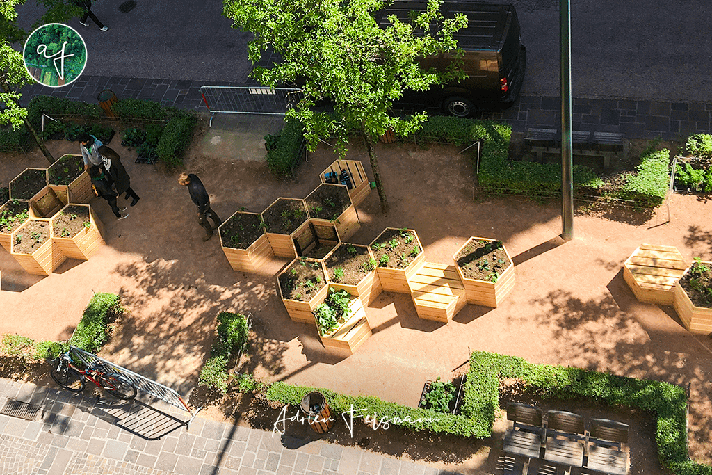 Conception de potager d'entreprise