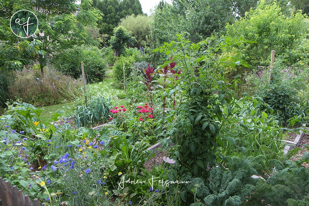 Jardin forêt fleuri
