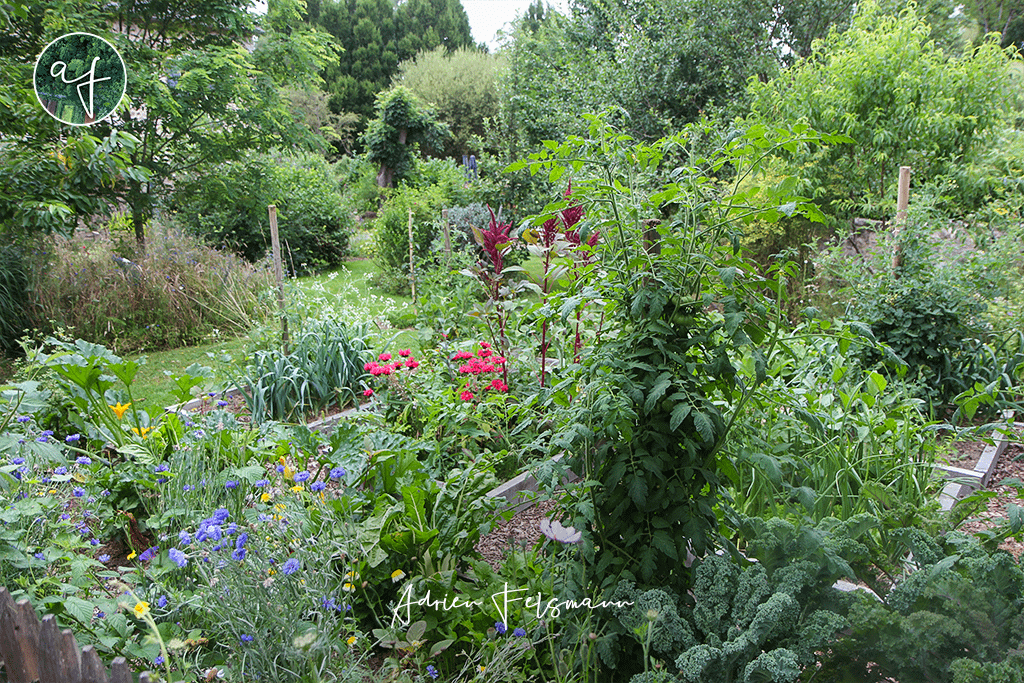 Jardin nourricier inspiré par l'agroécologie