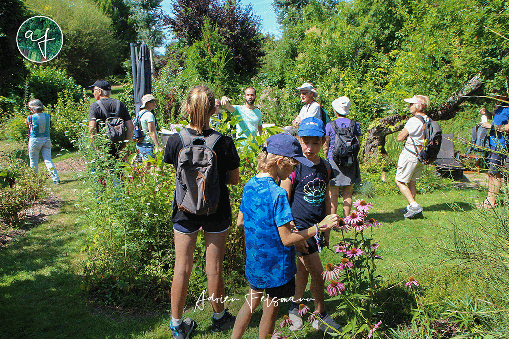 Avis clients et témoignages sur le jardin écologique