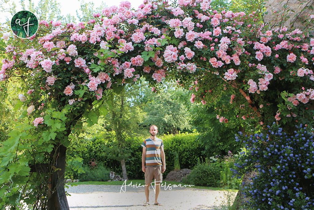 Adrien Felsmann paysagiste à Toulouse et conception de jardins écologiques