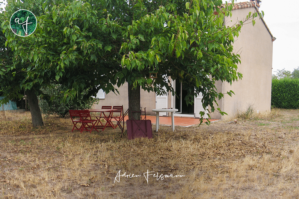 Jardin brûlé en été avant l'aménagement paysager écologique