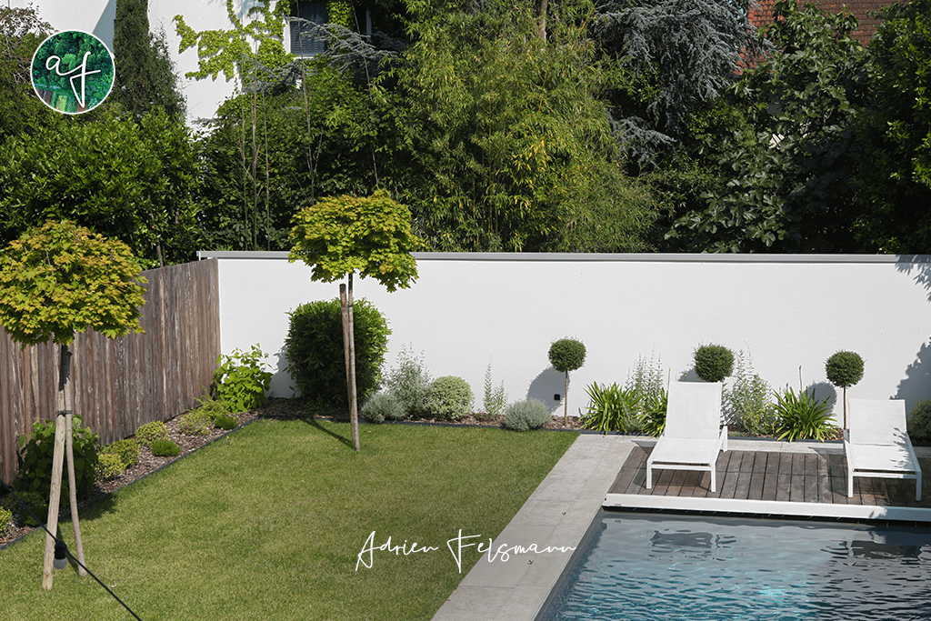 Jardin moderne avec piscine et topiaires