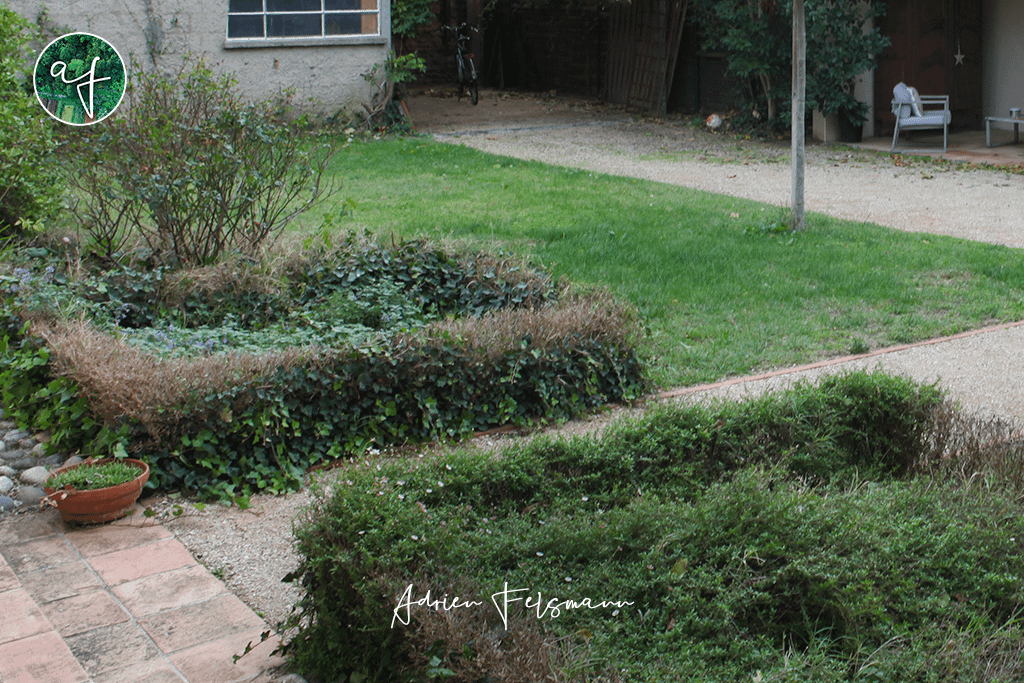 Topiaires de buis avant la conception paysagère naturaliste