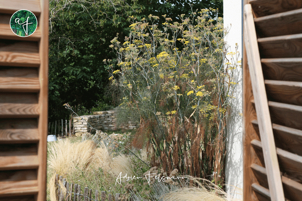 Entrée du jardin naturel