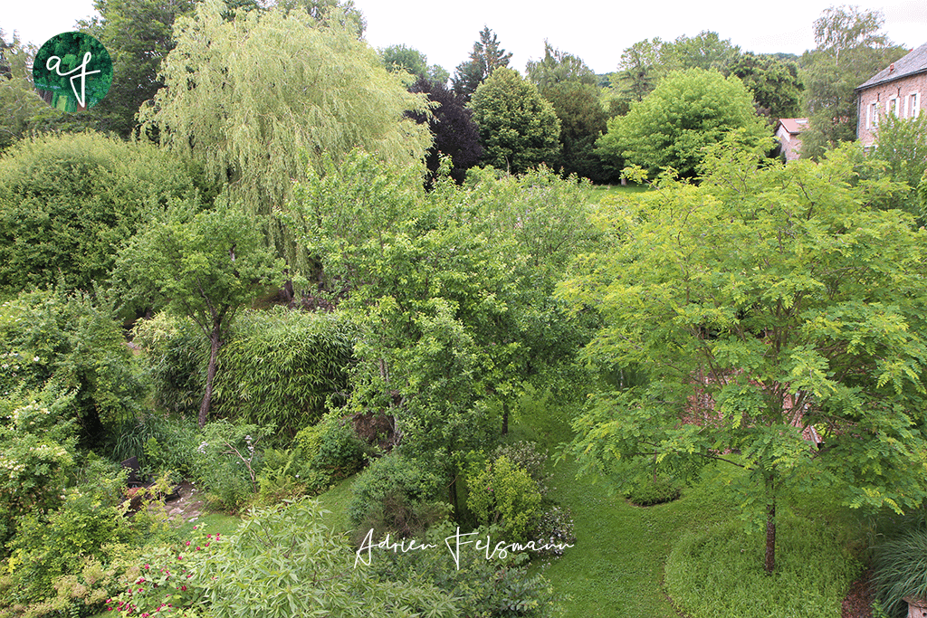 Conception de jardin-forêt nourricier inspiré de la permaculture