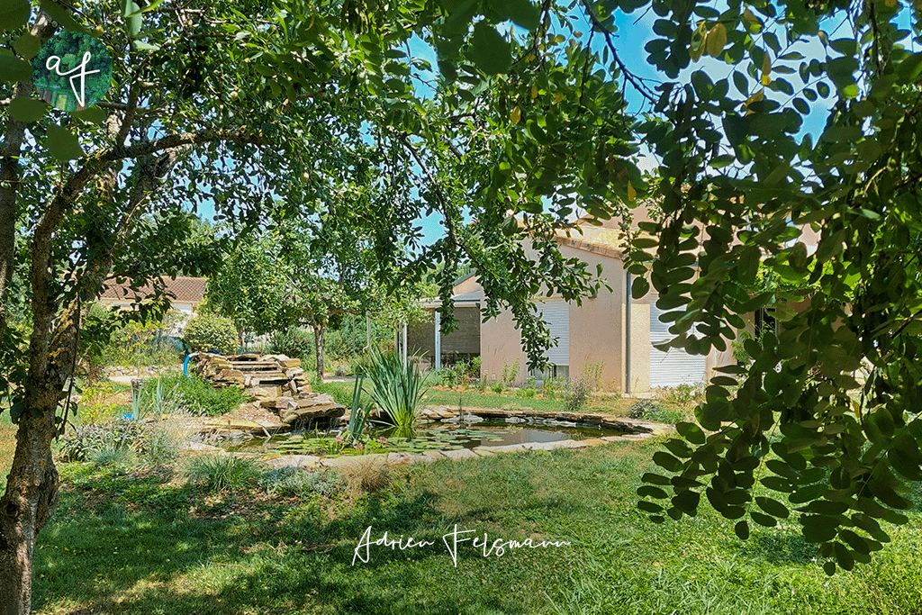 Bassin à poisson dans un jardin écologique à Fontenilles 31