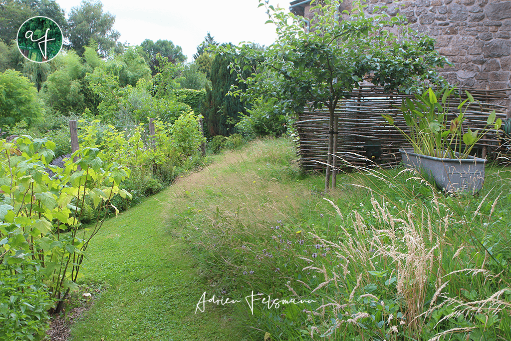 Prairie naturelle
