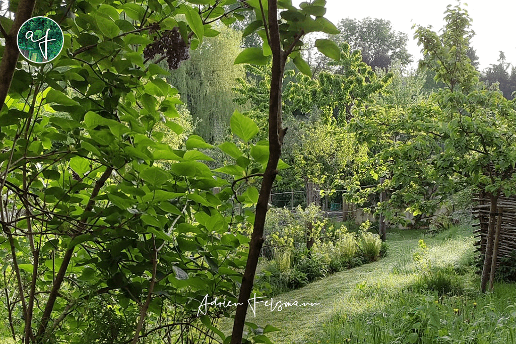 Jardin nourricier