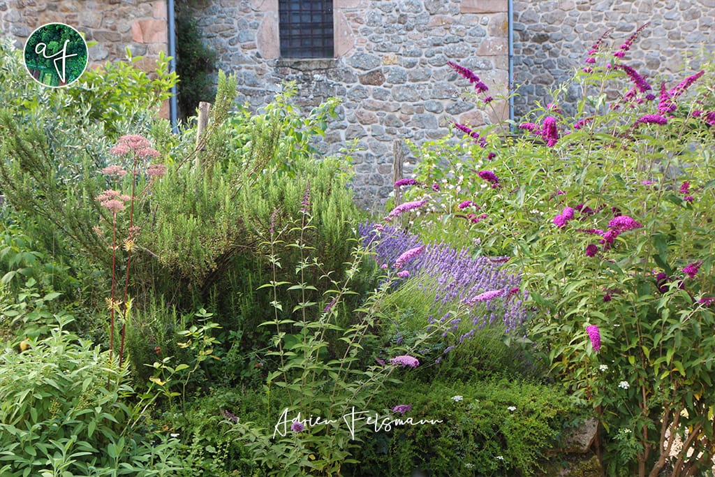 Association de plantes mellifères