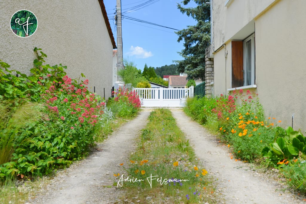 Jardin de ville à l'ambiance champêtre