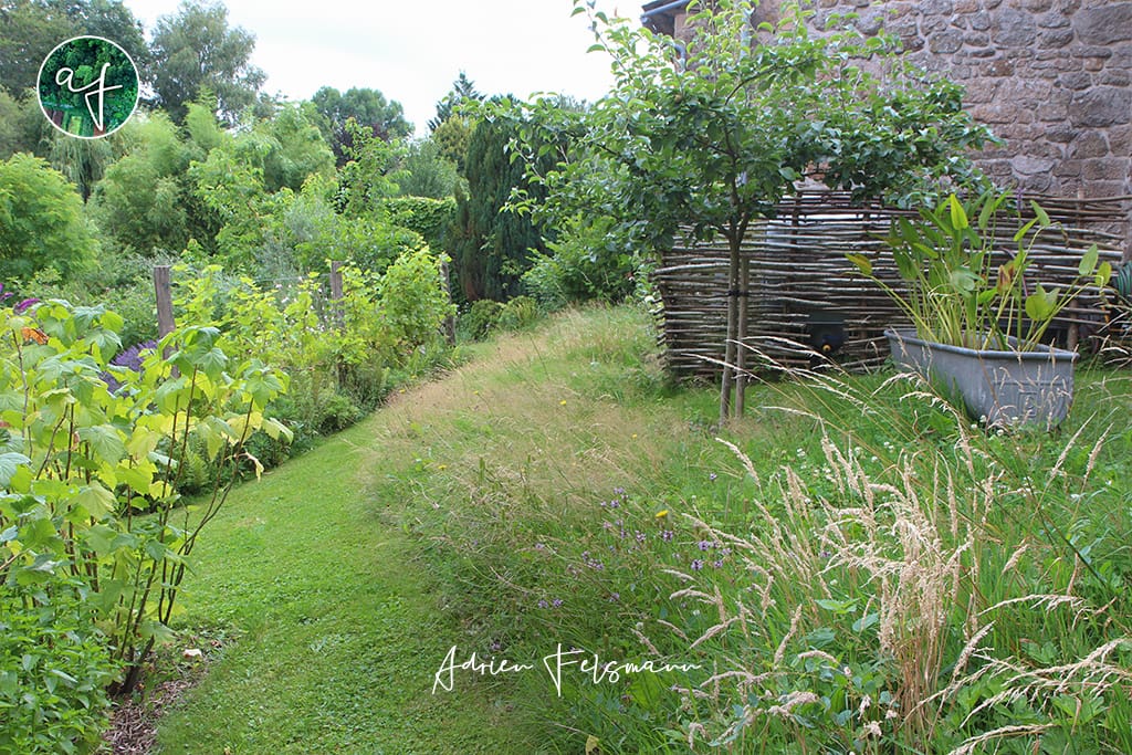 Prairie naturelle