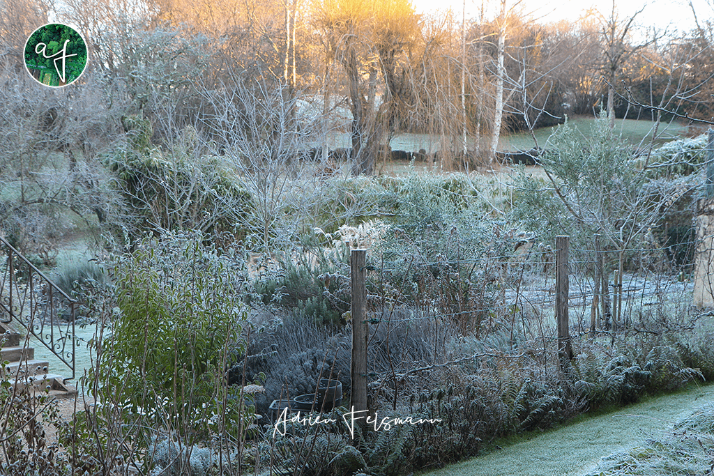 Jardin naturaliste en hiver