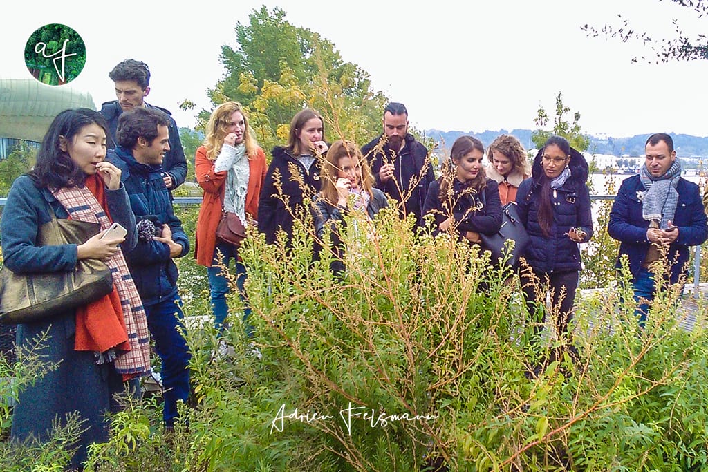 Team building jardinage en entreprise
