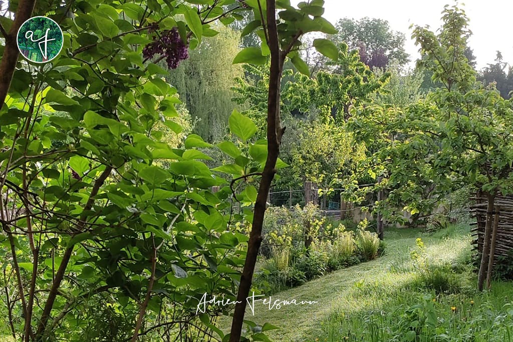 Jardin nourricier