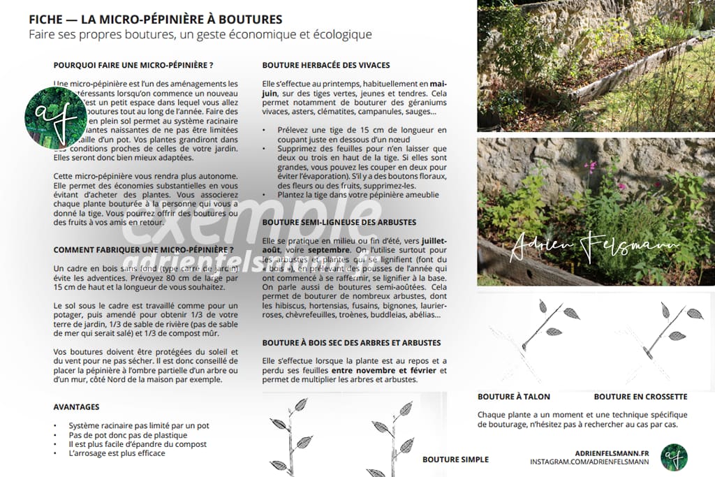Fiche pédagogique boutures coaching permaculture