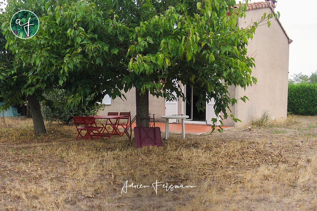 Jardin brûlé en été avant l'aménagement paysager écologique