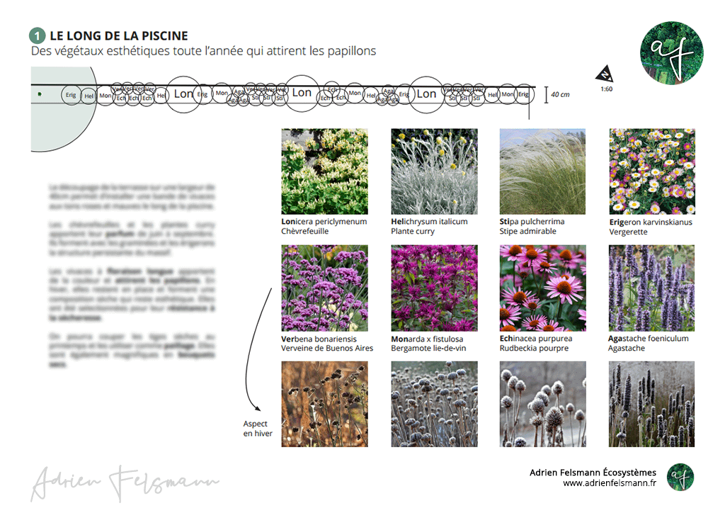 Palette végétale et plan de plantation