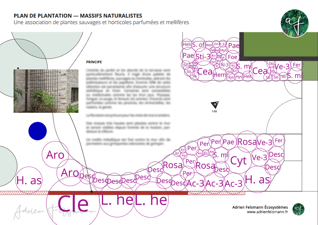 Plan de plantation écologique