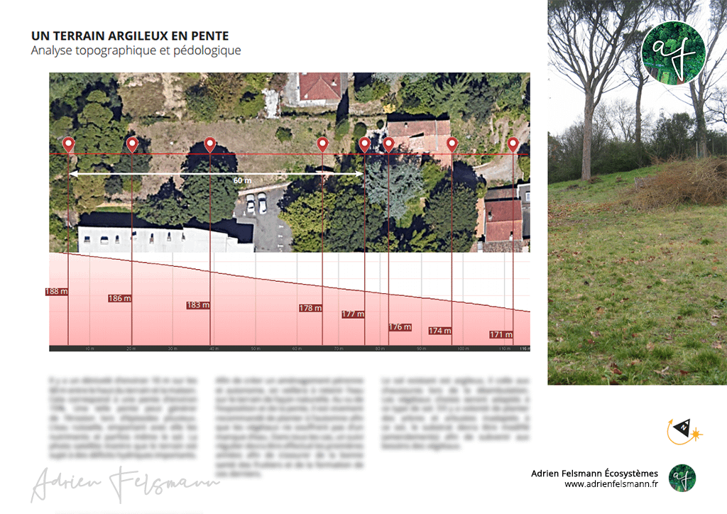 Analyse topographique pour verger en permaculture