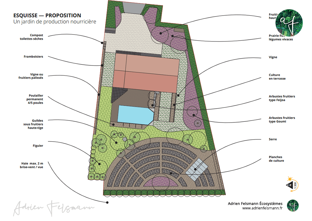Potager en mandala et verger en guildes de permaculture