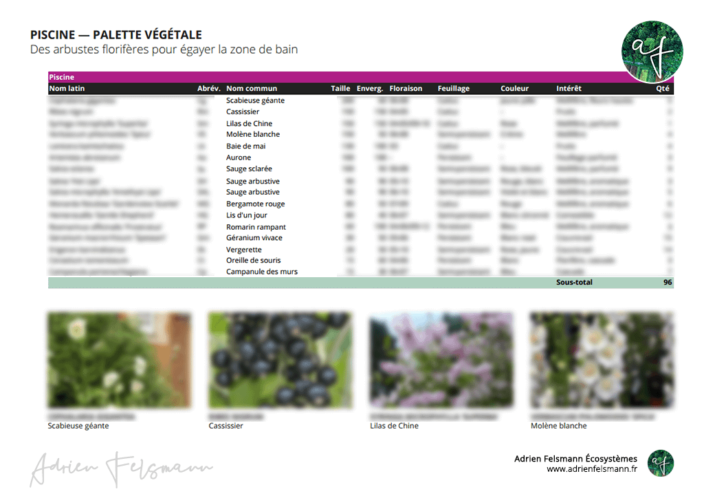 Palette végétale de massif naturaliste dans un jardin écologique